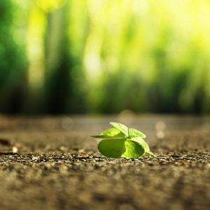 搜索三级黄色大片
